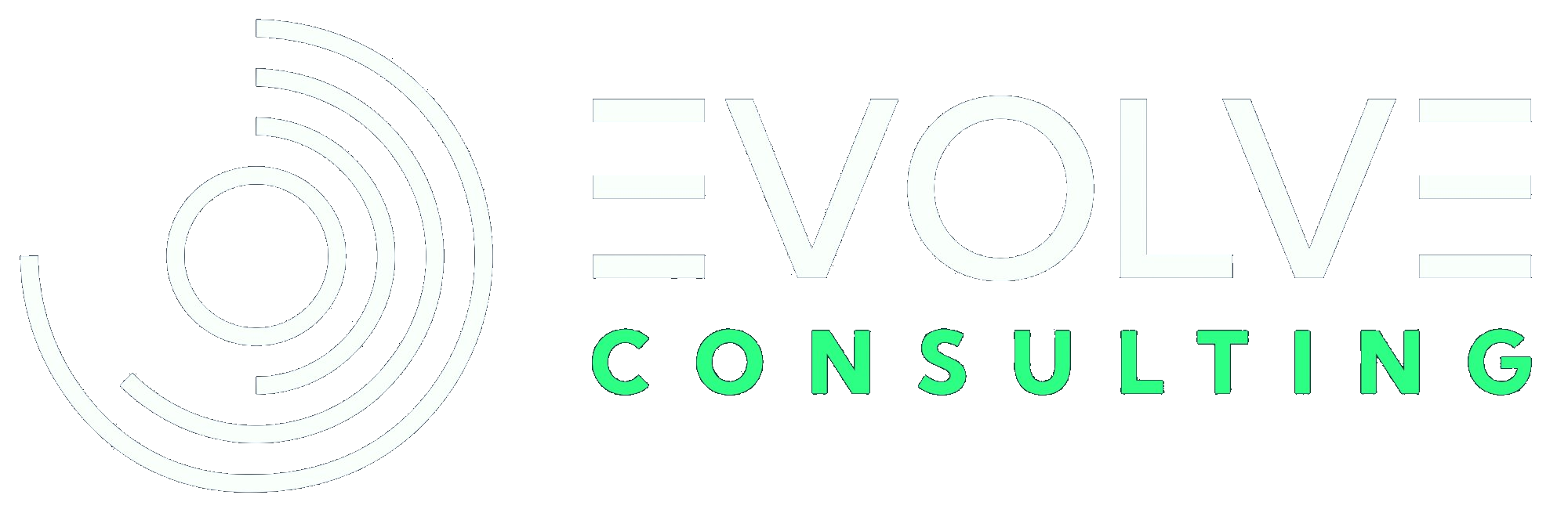 Evolve Consulting